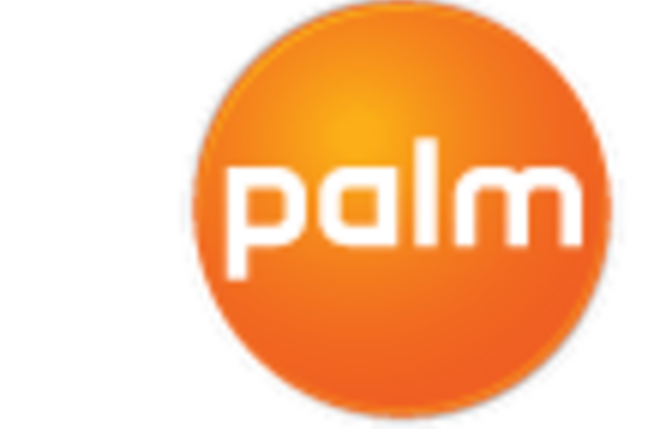 Palm's new logo