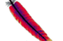 Apache