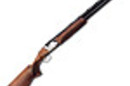 Shotgun