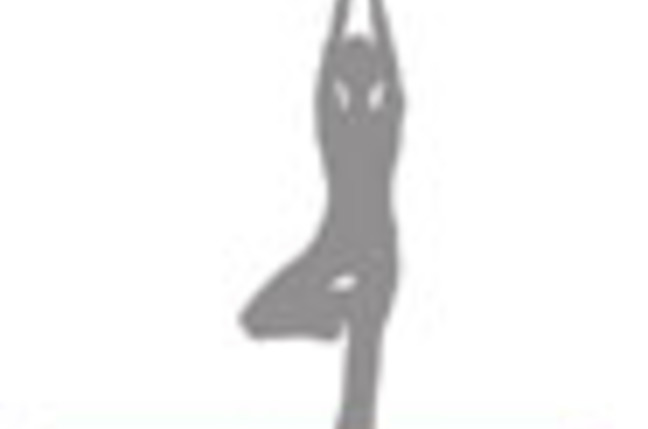 wii_fit_mat_SM