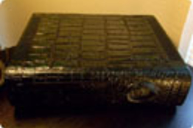 Alligator_Xbox_SM