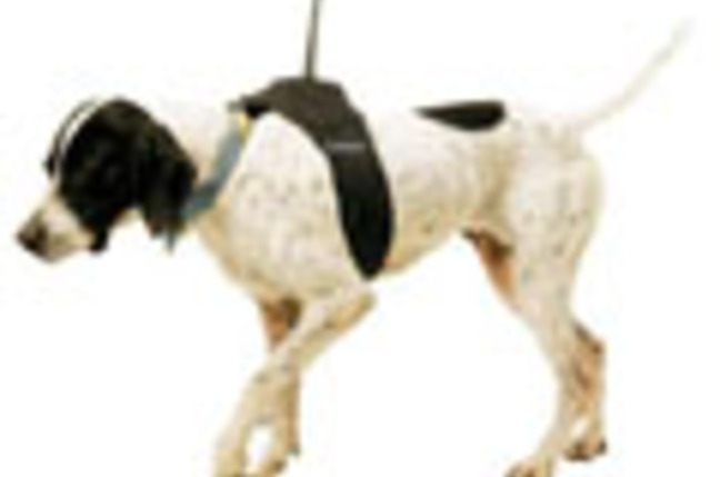 Garmin_Astro_SM