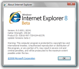 portable internet explorer 8 download