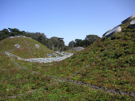 Academy of Sciences 'Living Roof'