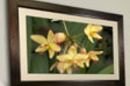 Smartpart_frame_SM