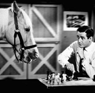 Mr Ed, the talking attorney