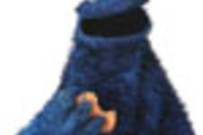 Cookie_monster_SM
