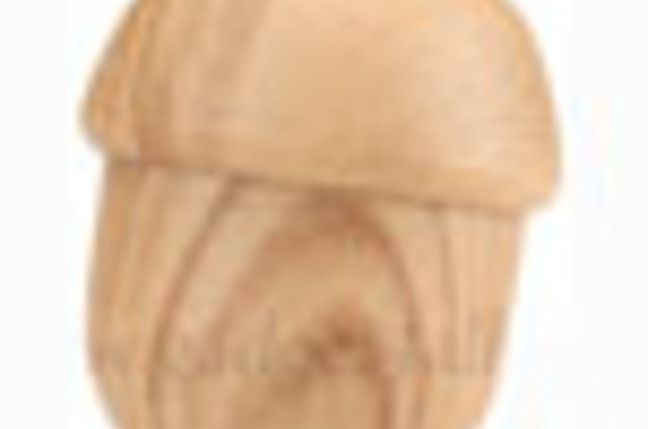 Acorn_MP3_SM