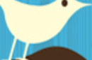 Twitter Bird