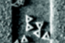 IBM DNA chip tech