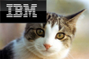 IBM logo and cat