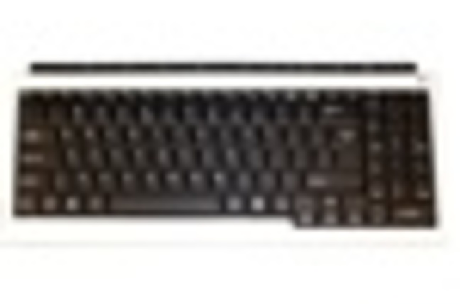 NorhTec Gecko Surfboard