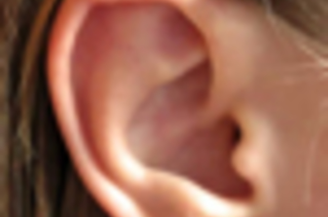 Ear