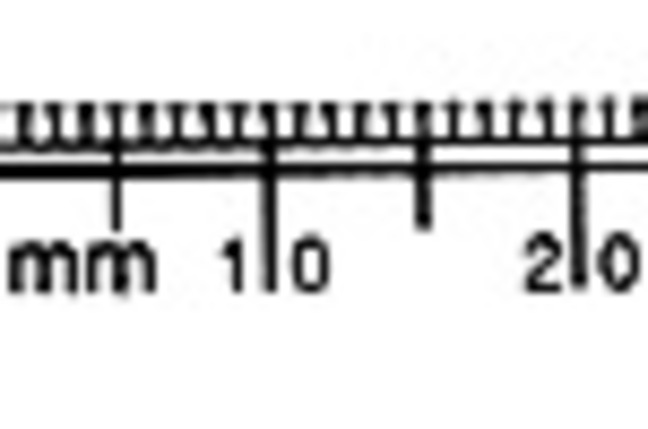 Millimetre
