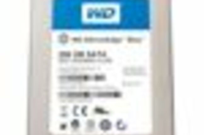 WD SSD