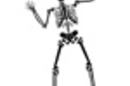 Hips X-ray