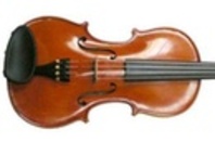 Violin