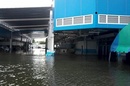 wd_thai_lake_1_small