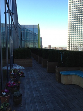 google_hq_15 google_hq_15