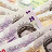 cash_money_pounds gbp queen cash moolah money pounds dosh