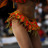 carnival rio brazil bikini sexy woman female girl hot heat summer