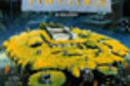 Populous 1989 Bullfrog Productions