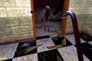 Half-Life