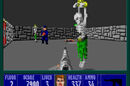 Wolfenstein 3D
