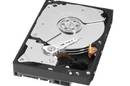 WD 4TB Black