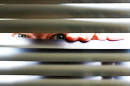 person - eyes and fingers showing - behind venetian blinds