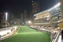 Happy Valley Racecourse Hong Kong stands
