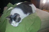 Prometheus is all out of batteries