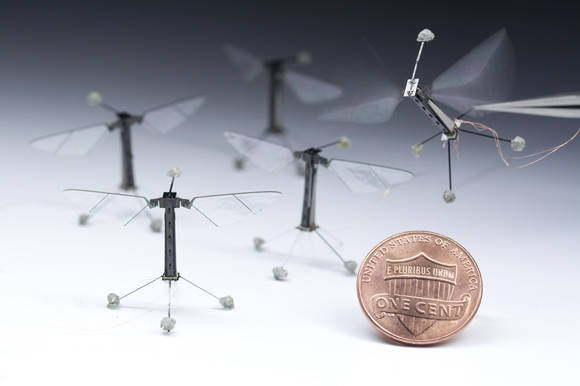 The 'RoboBee' created at the Wyss Institute for Biologically Inspired Engineering at Harvard University