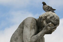 Pigeon crapping on statue
