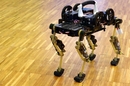 Robot cat