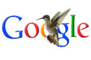Google_Hummingbird