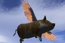 Flying pig