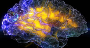 "Image from the glassbrain project, neuroscapelab.com, UCSF