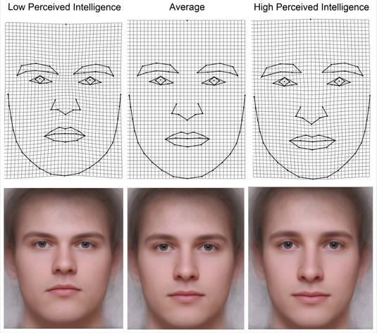 Men's faces perceived to be of low, average, and high perceived intelligence