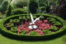 Flower clock