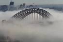 Sydney harbour bridge poking out of the clouds