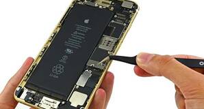 iPhone 6 Plus opened up