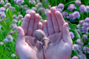 Magic Leap's mysterious tech for "cinematic reality"