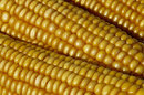 Kernels
