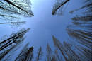 Clear_blue_Sky
