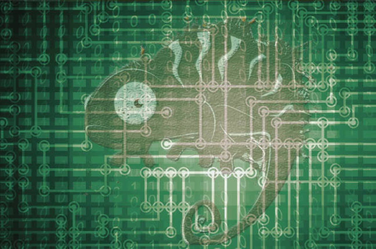 unfastened organisation credit test south africa