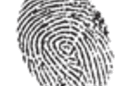 Identity