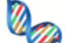 DNA