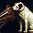Nipper