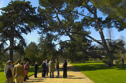 Shows Henslow tree-planting in Cambridge.